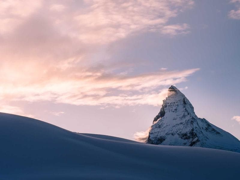 Sale Reports + Dashboards