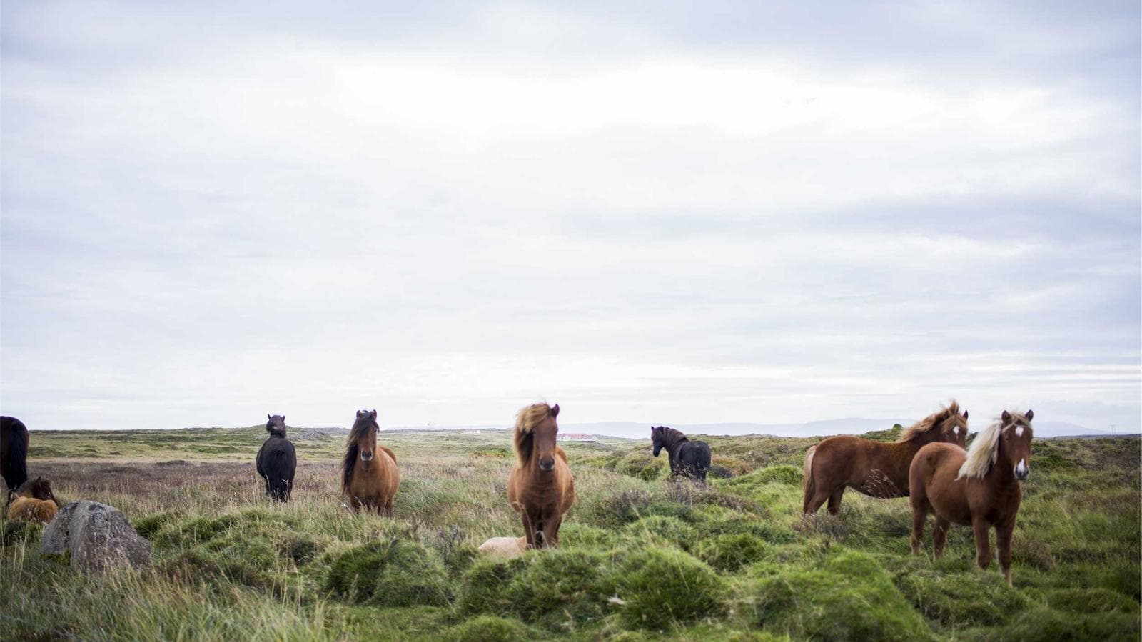 Quick-Service Restaurants hero