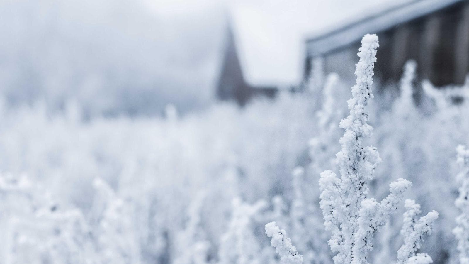 Franchises & Multi-location hero